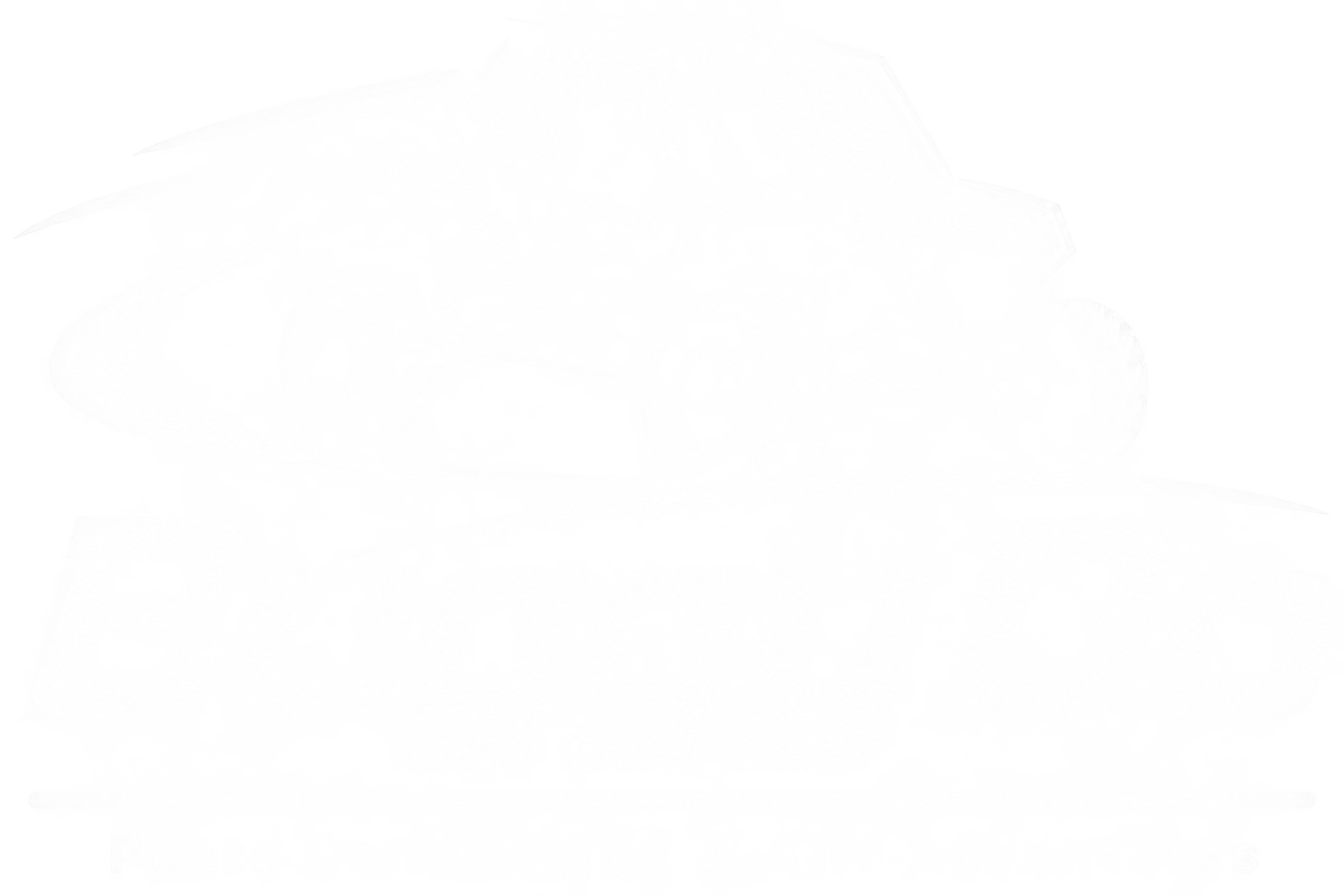 Buggy Do