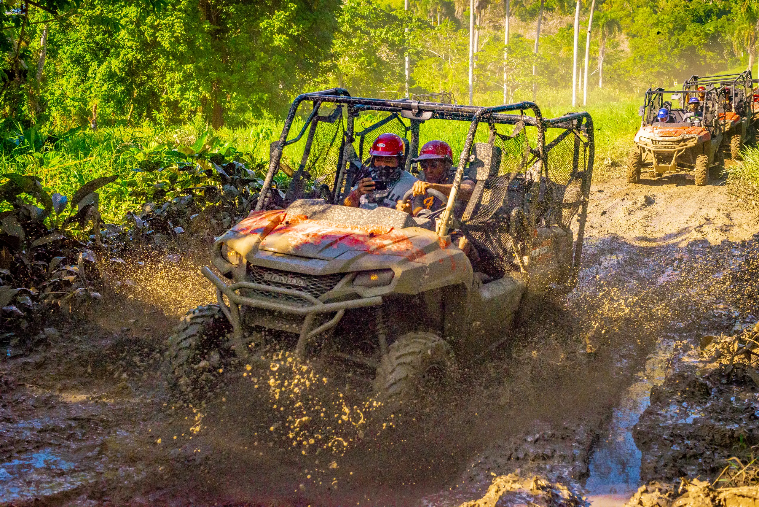 jungle buggy