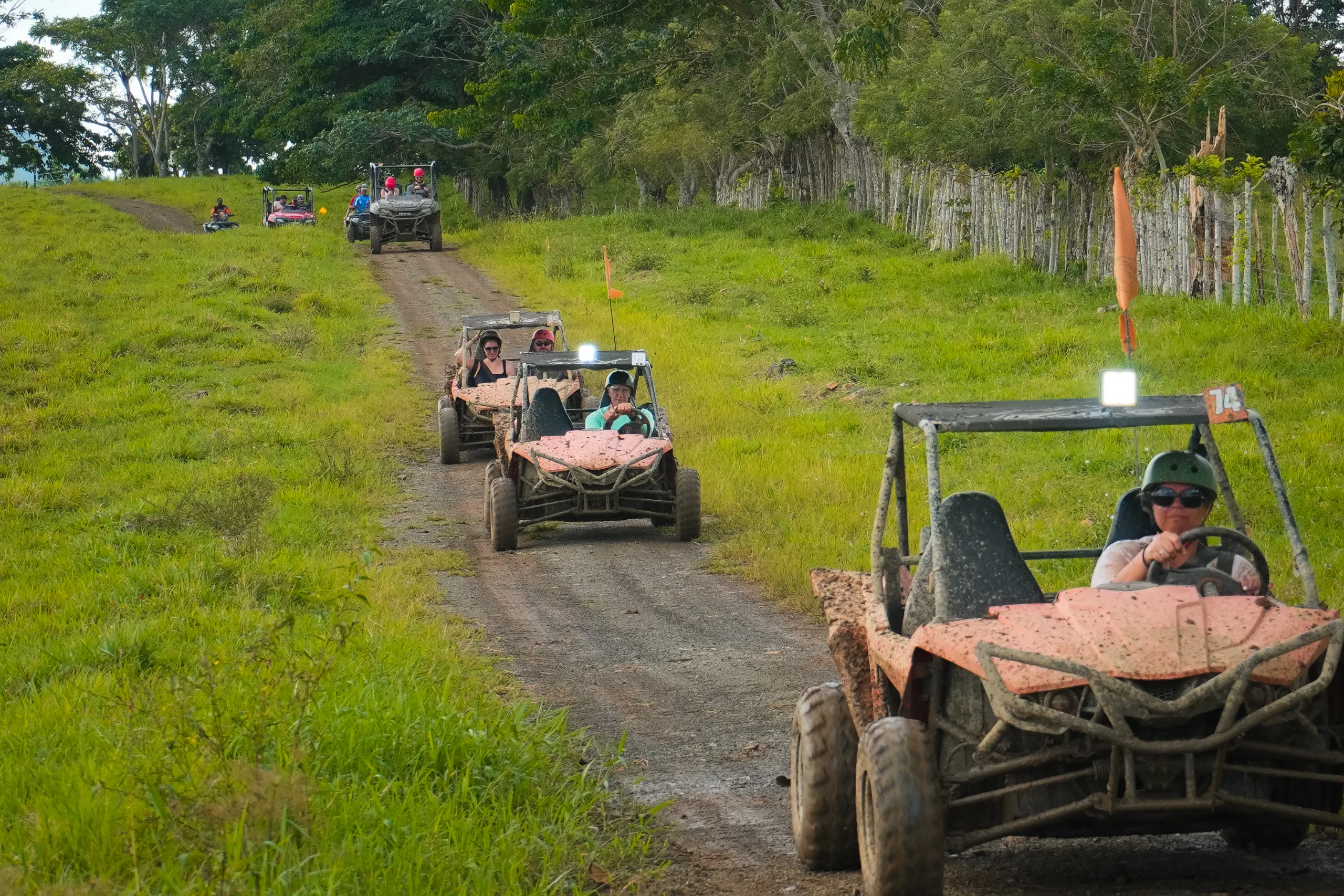 Buggy Tour from Arena Gorda